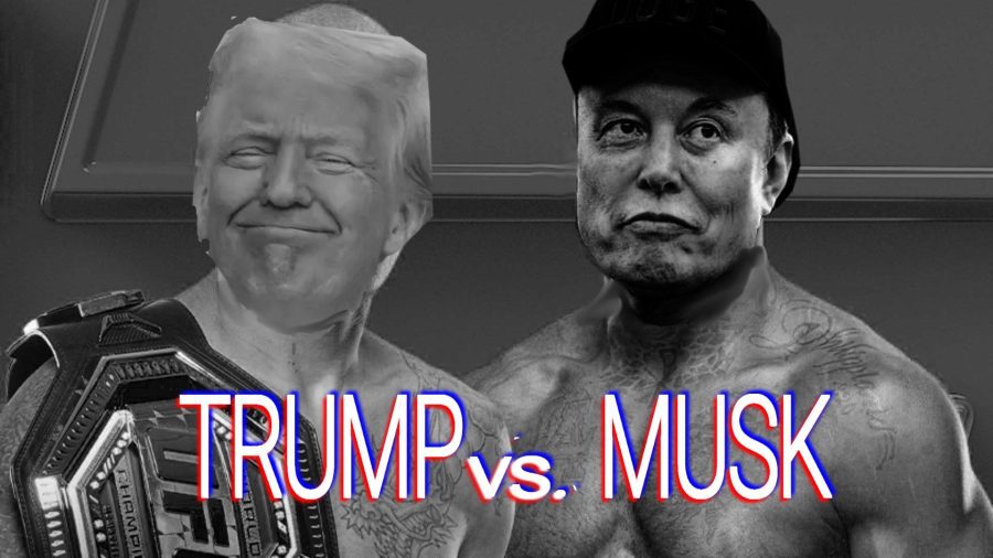 Trump vs Musk