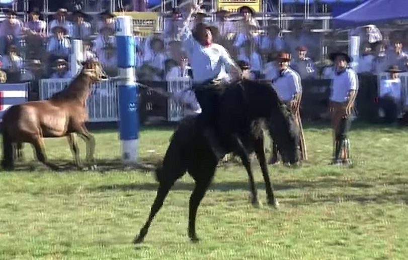 Carlos Benia, Vuelta de Honor en el Prado 2026